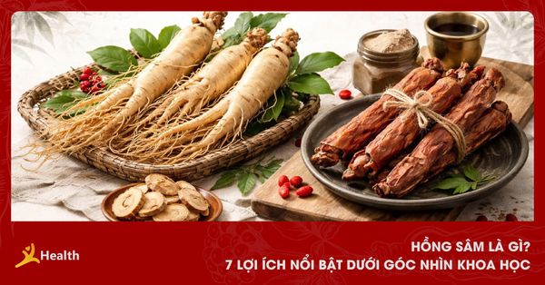 Hồng Sâm Là Gì? 7 Lợi Ích Nổi Bật Dưới Góc Nhìn Khoa Học