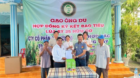 GẠO ÔNG DU TỔ CHỨC LỄ KÝ KẾT BAO TIÊU LÚA ST25 HỮU CƠ - HƯỚNG TỚI MÙA VỤ XANH BỀN VỮNG