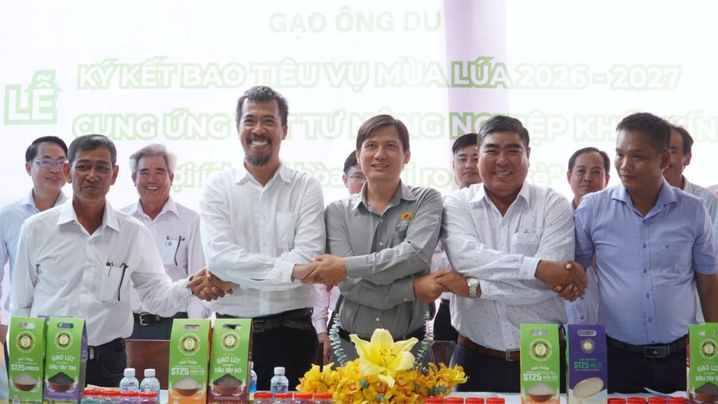 Gạo Ông Du ký kết bao tiêu 1.000ha lúa gắn với Đề án 1 triệu ha lúa chất lượng cao, phát thải thấp