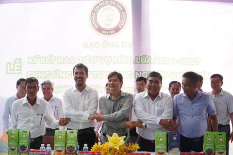 Gao Ong Du Signs Offtake Agreements for 1,000 Hectares of Rice under the One Million Hectares High-Quality, Low-Emission Rice Project