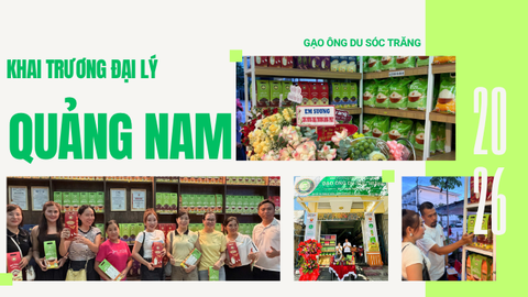 GẠO ÔNG DU CHÍNH THỨC KHAI TRƯƠNG ĐẠI LÝ TẠI TAM KỲ – QUẢNG NAM