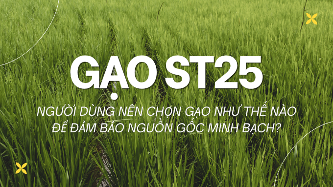Thị trường gạo ST25 cần minh bạch nguồn gốc: Người tiêu dùng nên chọn gạo như thế nào?