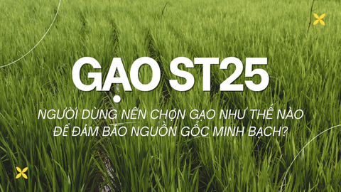 Thị trường gạo ST25 cần minh bạch nguồn gốc: Người tiêu dùng nên chọn gạo như thế nào?