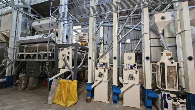 Xu hướng nông nghiệp gạo hữu cơ 2026 tại Việt Nam: Phát triển bền vững – Giá trị cao – Thị trường mới