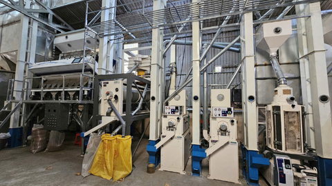 Xu hướng nông nghiệp gạo hữu cơ 2026 tại Việt Nam: Phát triển bền vững – Giá trị cao – Thị trường mới