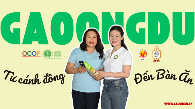 Hành Trình Từ Cánh Đồng Đến Bàn Ăn – Quy Trình Làm Nên Hạt Gạo Ông Du Sóc Trăng Chất Lượng