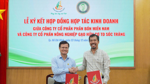 Phân bón Miền Nam Tăng Cường Hợp Tác, Thúc Đẩy Nông Nghiệp Sạch và Bền Vững
