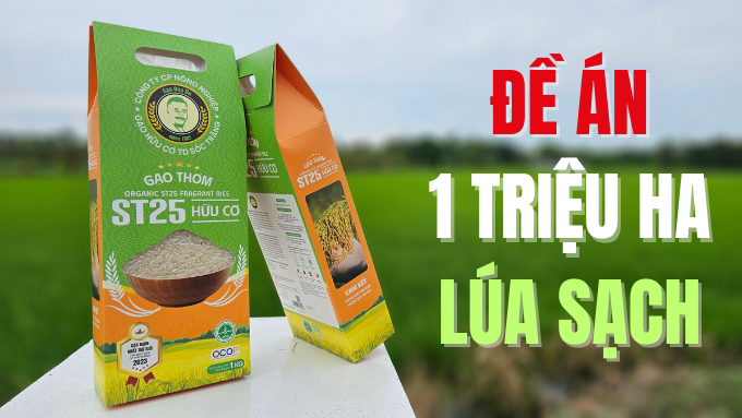Đề án 1 triệu ha lúa sạch – phát thải thấp: Bước tiến mới cho gạo Việt -  | Gạo Ông Du