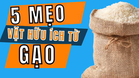 Bỏ Túi 5 Mẹo Vặt Từ Gạo Bạn Nên Biết – Đơn Giản Nhưng Rất Hữu Ích