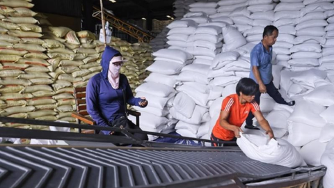 Đề xuất quy định kinh doanh xuất khẩu gạo như 'đánh đố'