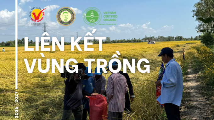 Quy Trình Sản Xuất Gạo Ông Du – Khép Kín Từ Vùng Trồng Riêng Biệt Đến Thành Phẩm Chất Lượng