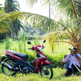 Khám Phá Lý Do SYM Angel 110 Ghi Điểm Với Giới Trẻ Đi Làm