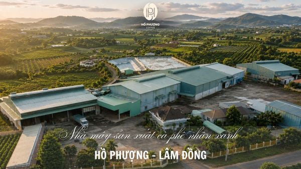 Hành Trình 32 Năm Cà Phê Rang Xay Cao Cấp | Hồ Phượng Coffee