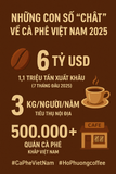 NHỮNG CON SỐ “CHẤT” VỀ CÀ PHÊ VIỆT NAM TÍNH ĐẾN THÁNG 8/2025