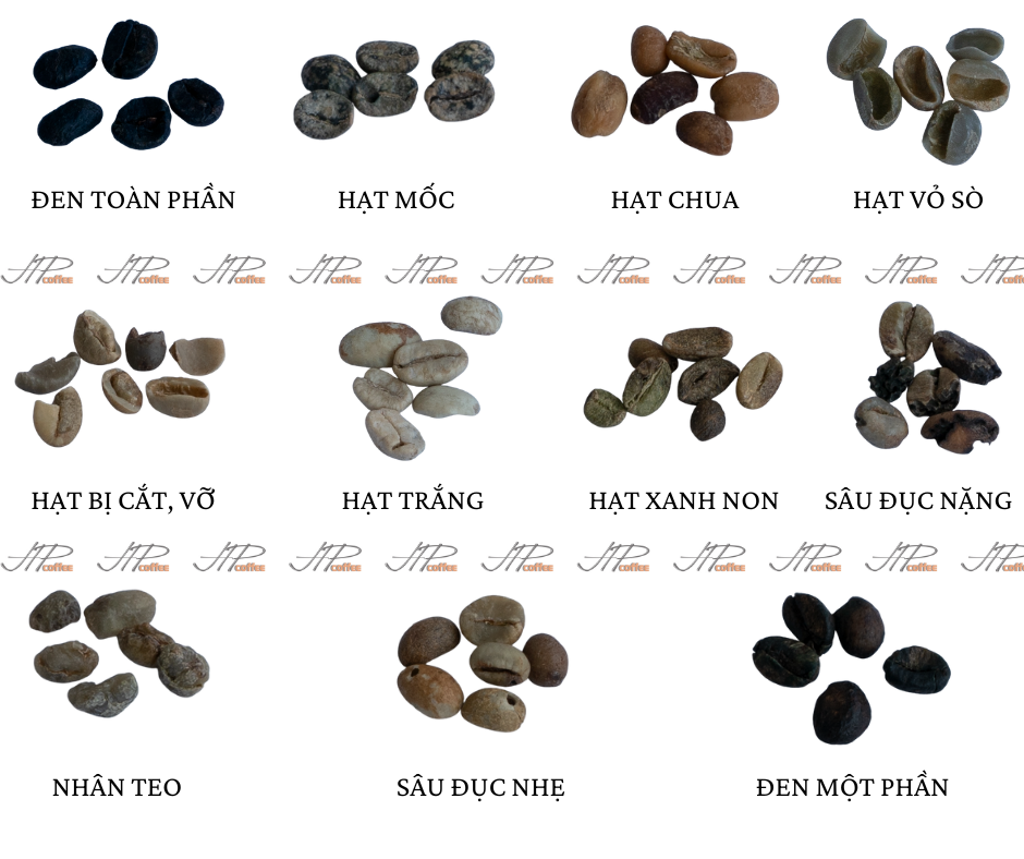 ⚠️ Những lỗi thường gặp trong chế biến cà phê ⚠️