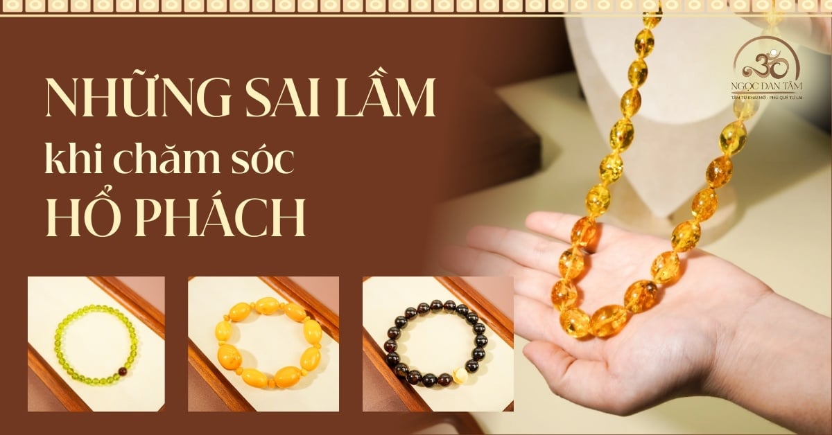 Những lầm tưởng phổ biến khi chăm sóc hổ phách mà bạn cần biết
