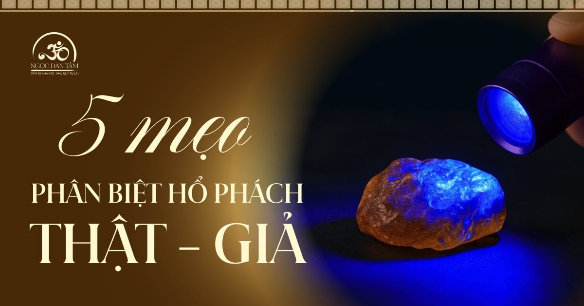 5 mẹo phân biệt hổ phách thật - giả tại nhà đơn giản và hiệu quả