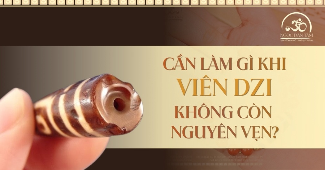 Cần làm gì khi viên 