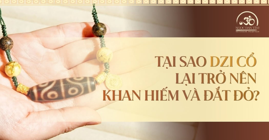 Lịch Sử Khai Thác Thiên Châu: Tại Sao Dzi Cổ Lại Trở Nên Khan Hiếm Và Đắt Đỏ?
