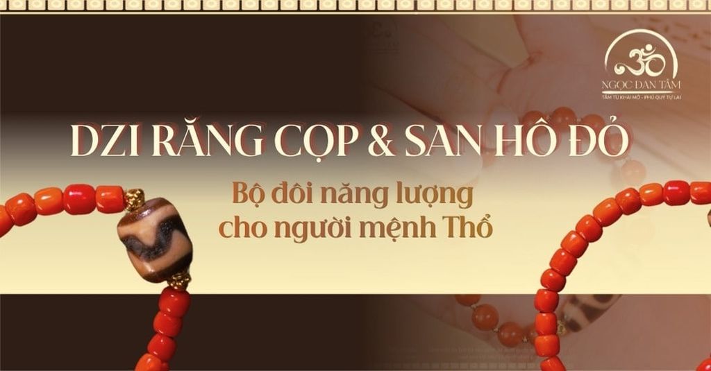 Dzi răng cọp phối cùng San hô đỏ: Bộ đôi năng lượng mạnh mẽ cho người mệnh Thổ