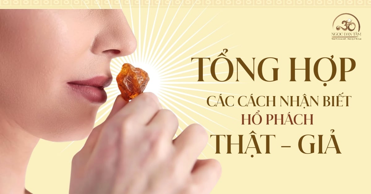 Tất tần tật các cách phân biệt hổ phách thật giả: Từ đơn giản đến chuyên nghiệp