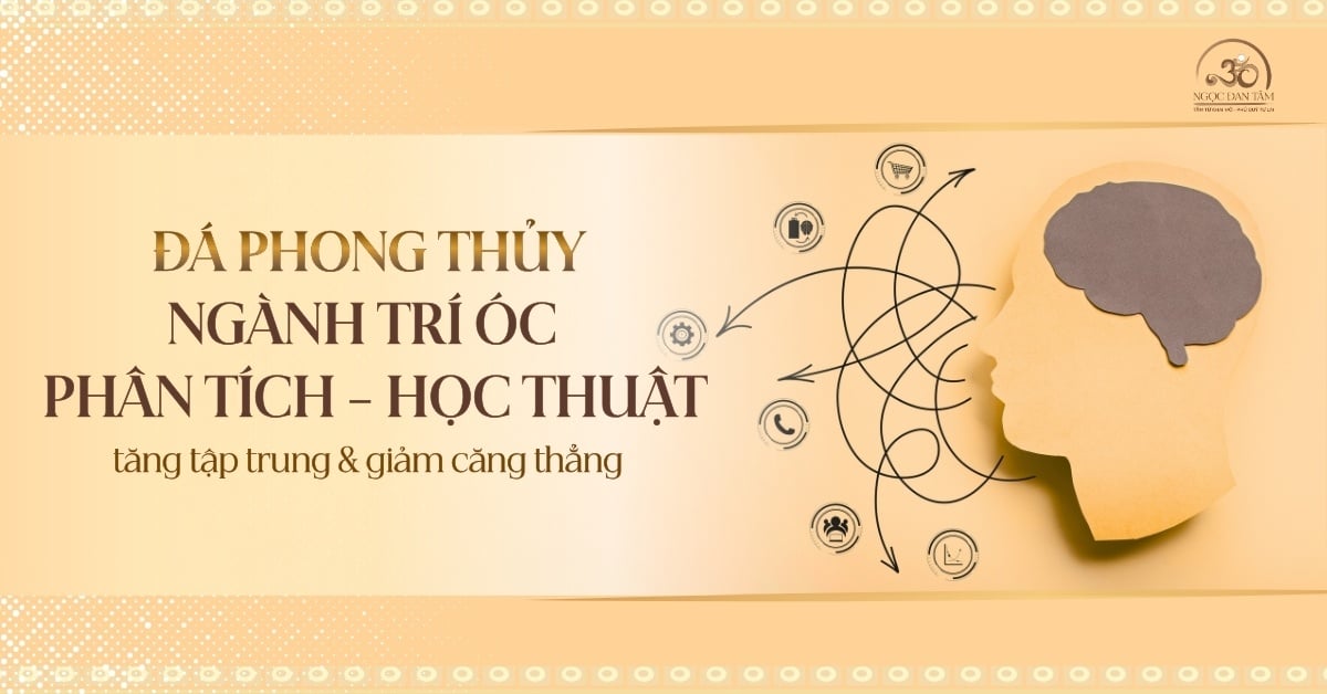 Đá phong thủy cho ngành trí óc - phân tích - học thuật: tăng tập trung và giảm căng thẳng tinh thần