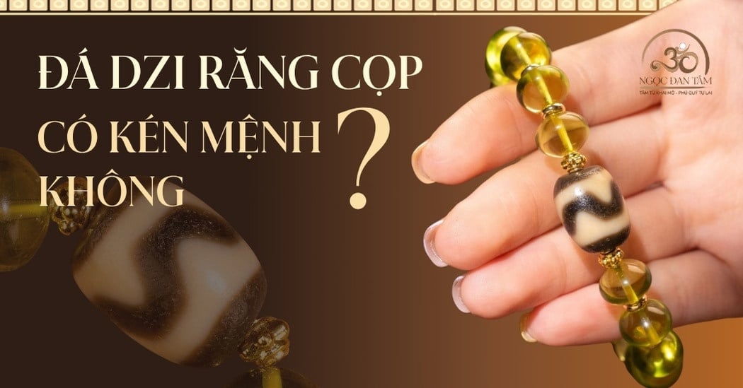 Đeo đá Dzi răng cọp có kén mệnh không? Bí kíp chọn Thiên Châu hộ thân.