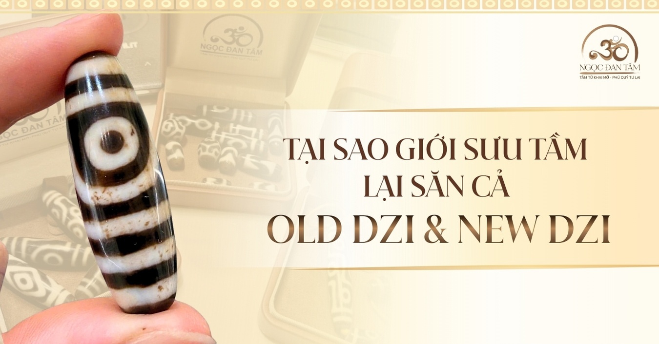 Tại sao giới sưu tầm lại săn cả Old Dzi lẫn New Dzi cao cấp?