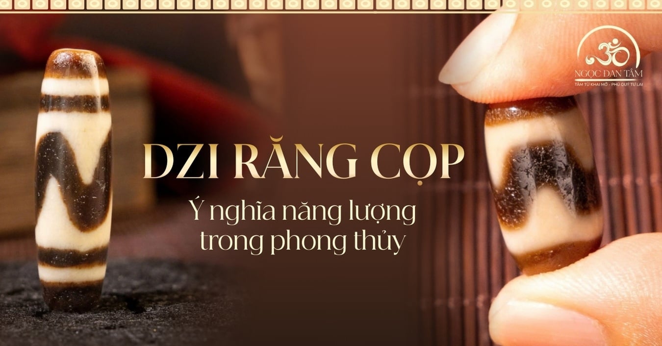 Ý nghĩa của Dzi Răng Cọp? Biểu tượng bảo hộ và sức mạnh trong đá Dzi Tây Tạng