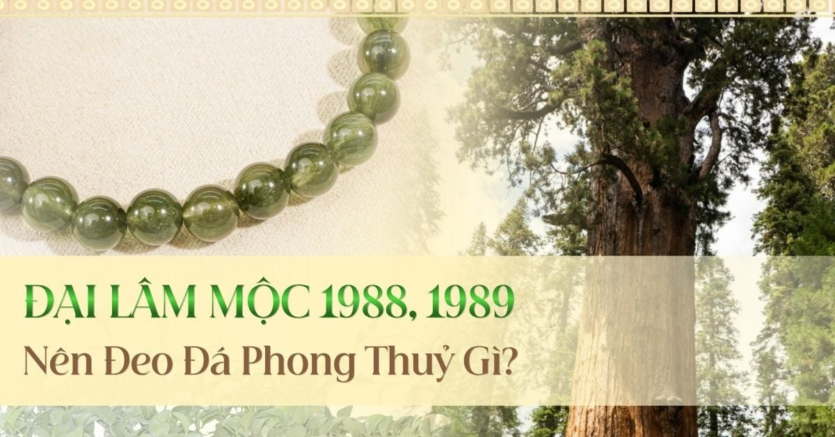 Đại Lâm Mộc đeo đá gì? Chọn đá năng lượng vững chãi từ bên trong