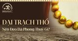 Đại Trạch Thổ: Khơi thông năng lượng tích cực trong tâm trí