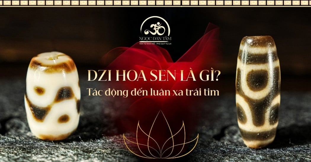 Dzi hoa sen - giải phóng năng lượng tăc nghẽn nơi luân xa tim.
