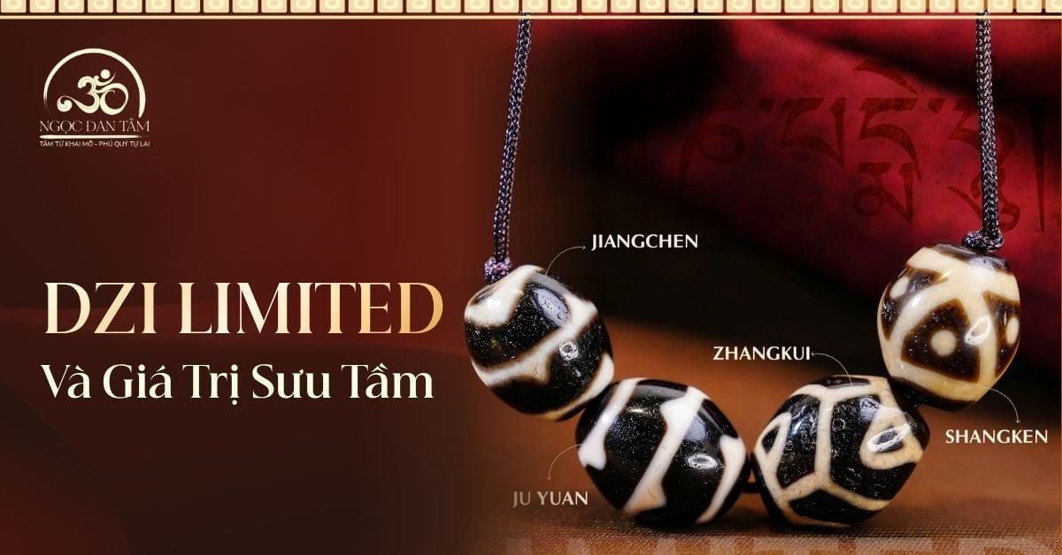 New Dzi Limited: Vẻ Đẹp Khan Hiếm Và Giá Trị Sưu Tầm