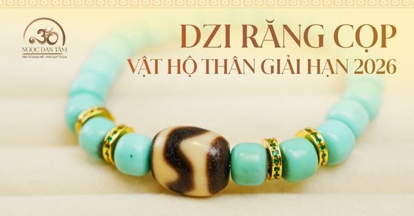 Giải hạn sao chiếu mệnh 2026: Tại sao nên chọn đá Dzi Răng Cọp làm vật hộ thân?