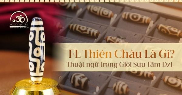 FL Thiên Châu Là Gì? Khái Niệm Cần Biết Trong Giới Sưu Tầm Dzi