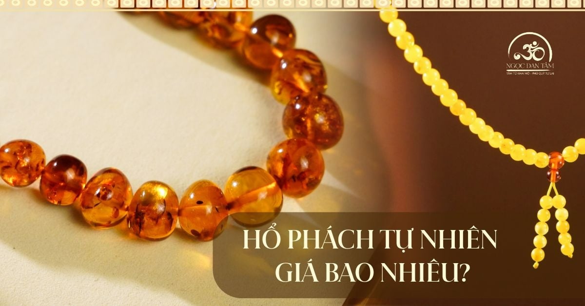 Giá hổ phách tự nhiên bao nhiêu? Cập nhật mới