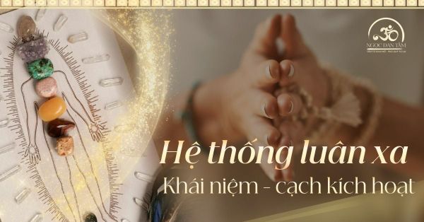 Hệ Thống 7 Luân Xa Là Gì? Hướng Dẫn Khai Thông Năng Lượng Cơ Thể