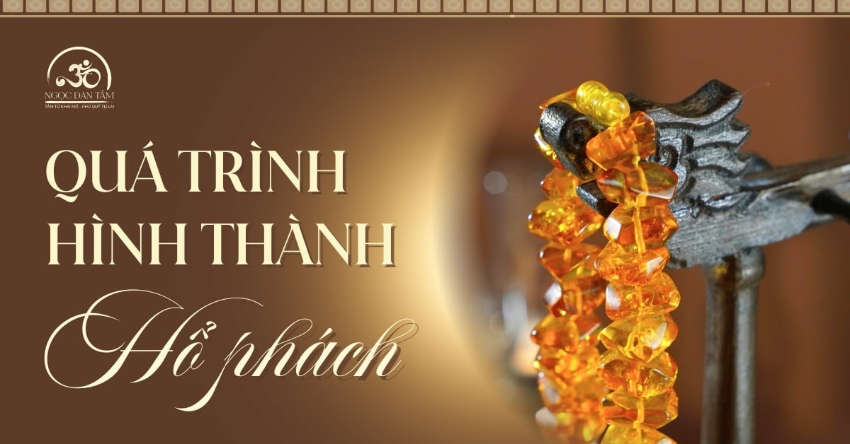 Hổ phách tự nhiên và Quá trình hình thành kỳ diệu qua hàng triệu năm