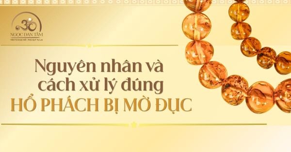 Hổ phách bị mờ đục có sao không? Nguyên nhân và cách xử lý đúng