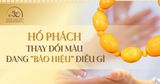 Hổ phách thay đổi màu có phải đang “báo hiệu” điều gì không? Góc nhìn phong thủy và khoa học