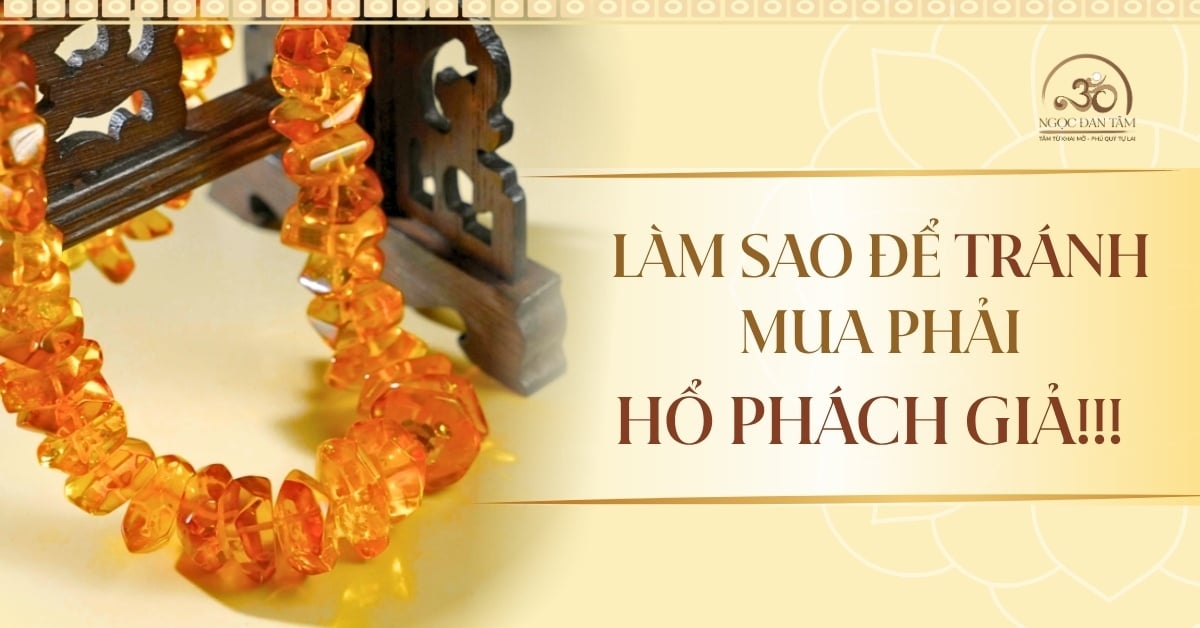 Hổ phách giả làm từ gì? Cách nhận biết đâu là hổ phách thật