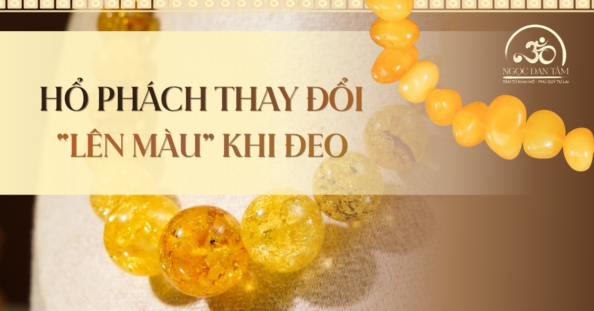 Hổ phách thay đổi theo thời gian, “lên màu” khi đeo?