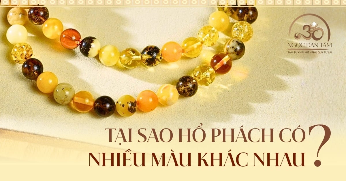 Tại sao hổ phách có nhiều màu khác nhau? Nên đeo hổ phách màu gì?