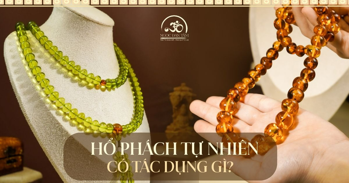Tác dụng hổ phách tự nhiên trong đời sống hiện đại