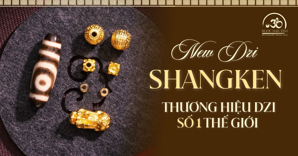 Khám phá New Dzi Shangken - Thương hiệu số 1 thế giới về Dzi hiện nay