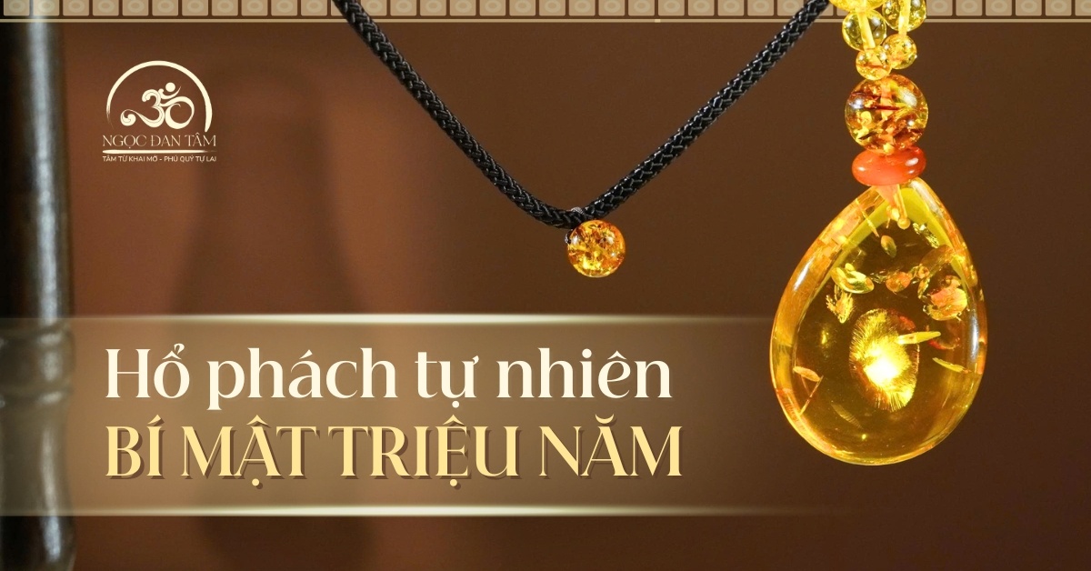 Hổ phách hóa thạch - Bí mật triệu năm