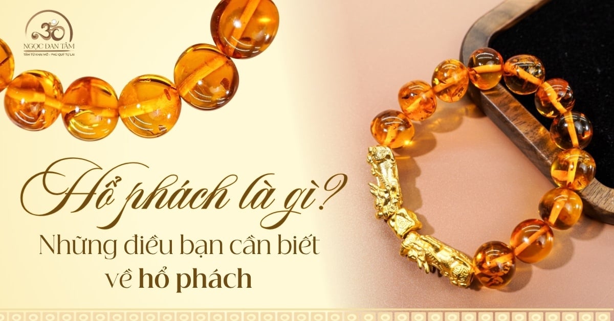 Hổ phách là gì? Những điều bạn cần biết về hổ phách