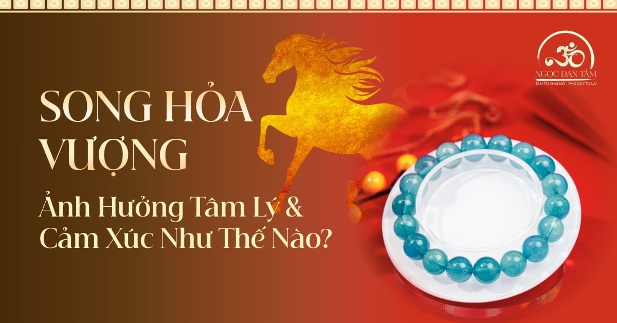 Năm Song Hỏa Vượng Ảnh Hưởng Tâm Lý & Cảm Xúc Như Thế Nào?