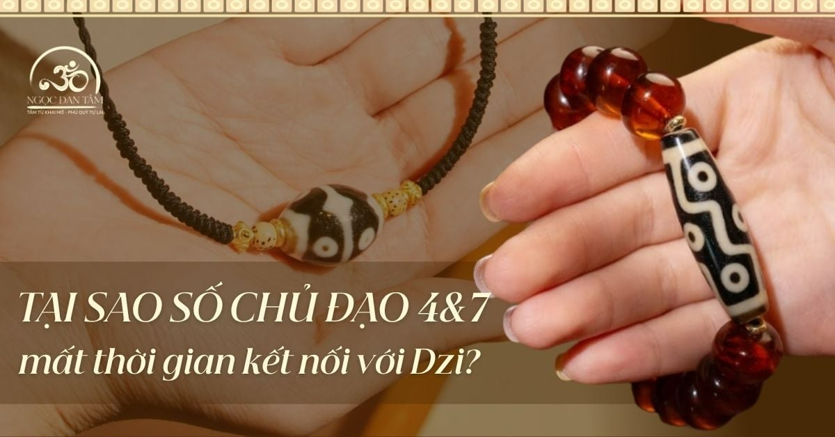 Tại sao số chủ đạo 4 & 7 mất nhiều thời gian để kết nối với đá Dzi Tây Tạng?