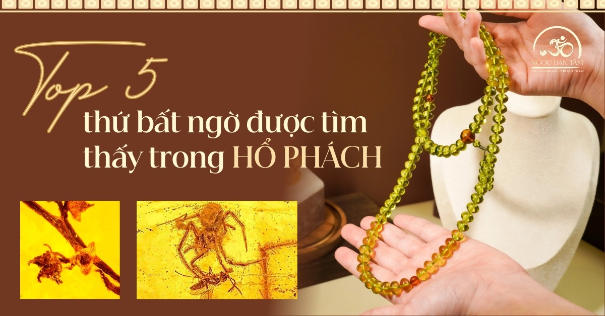 Top 5 thứ bất ngờ được tìm thấy trong hổ phách - khi thời gian bị “đóng băng”